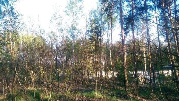 Działka 1000 m2 w WARSZAWA