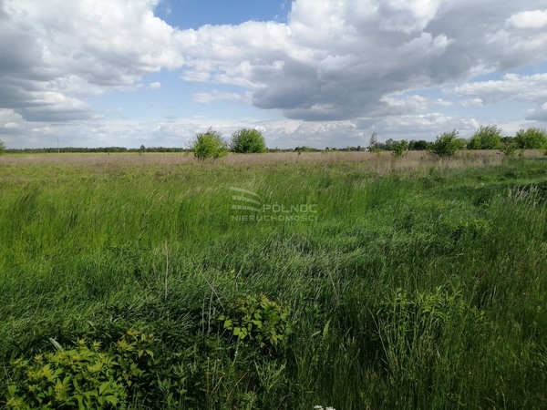 Działka 15600 m2 w BIAŁA PODLASKA