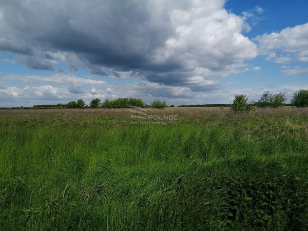 Działka 15600 m2 w BIAŁA PODLASKA