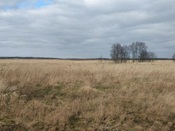 Działka 3973 m2 w WOLIN