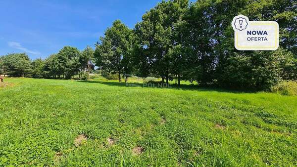 Działka 480 m2 w MSZANA