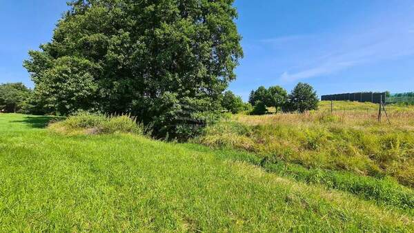 Działka 480 m2 w MSZANA