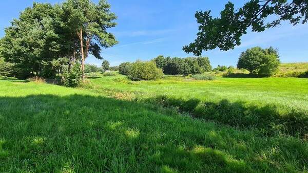 Działka 480 m2 w MSZANA