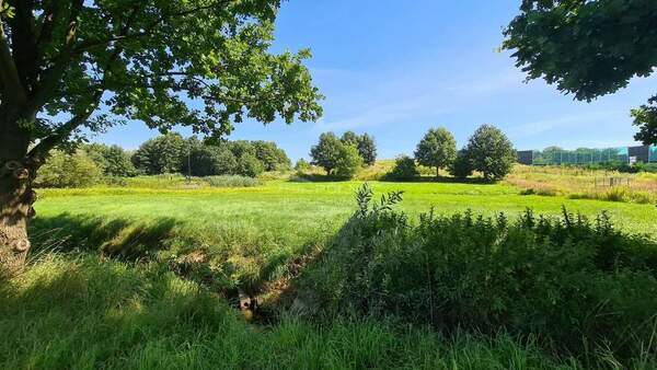 Działka 480 m2 w MSZANA