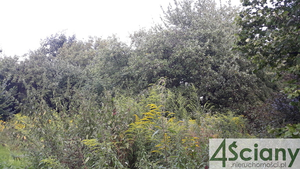 Działka 2300 m2 w RASZYN