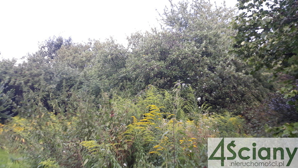 Działka 2300 m2 w RASZYN