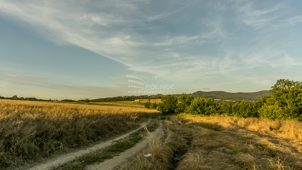 Działka 25652 m2 w KŁODZKO