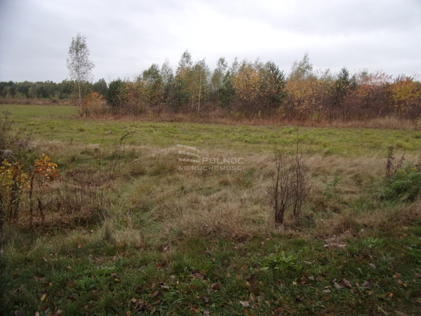 Działka 877 m2 w OSIECZNICA