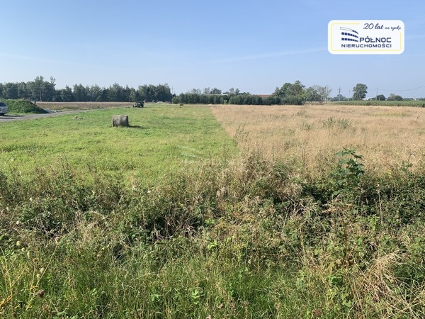 Działka 1000 m2 w MIELNO