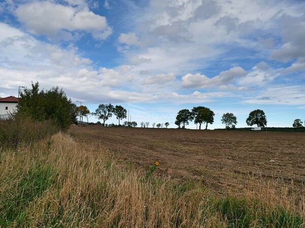 Działka 14000 m2 w BOLESŁAWIEC