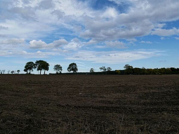 Działka 14000 m2 w BOLESŁAWIEC