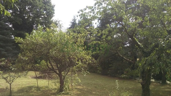 Działka 1426 m2 w GRODZISK MAZOWIECKI