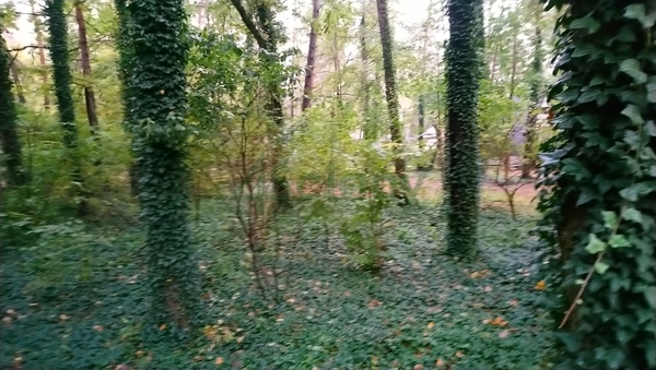 Działka 2590 m2 w PODKOWA LEŚNA