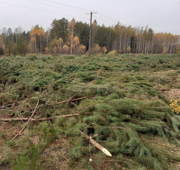 Działka 1190 m2 w KADZIDŁO