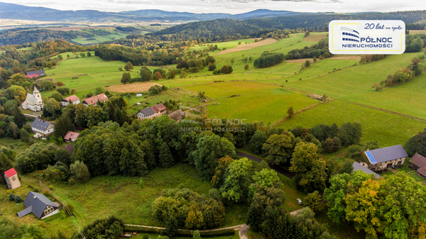 Działka 4700 m2 w MIĘDZYLESIE