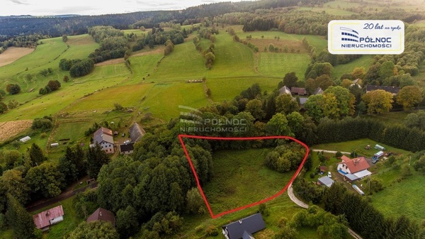 Działka 4700 m2 w MIĘDZYLESIE