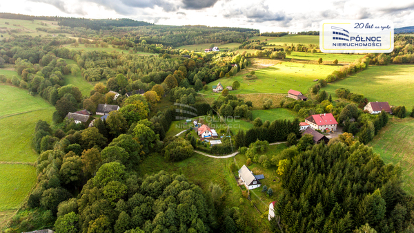 Działka 4700 m2 w MIĘDZYLESIE