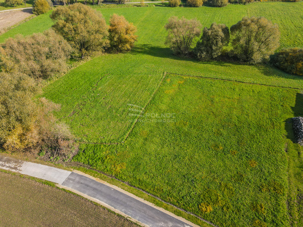 Działka 2634 m2 w WOLBROM