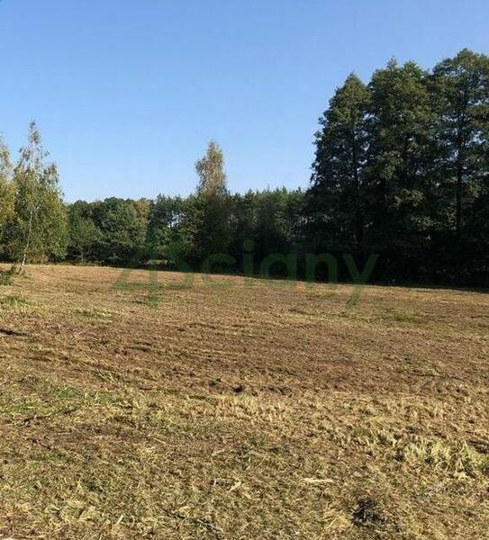 Działka 1427 m2 w GRODZISK MAZOWIECKI