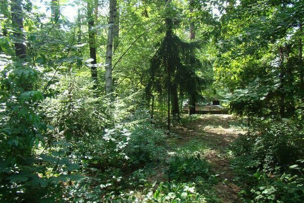 Działka 2979 m2 w LESZNOWOLA