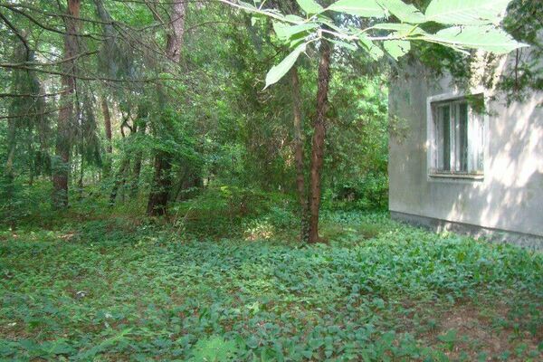 Działka 2979 m2 w LESZNOWOLA