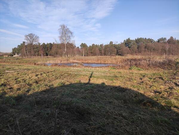 Działka 6281 m2 w LELIS