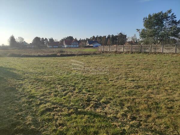 Działka 6281 m2 w LELIS