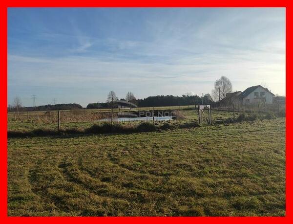 Działka 6281 m2 w LELIS