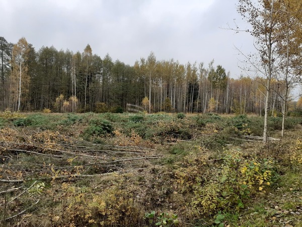 Działka 1190 m2 w KADZIDŁO