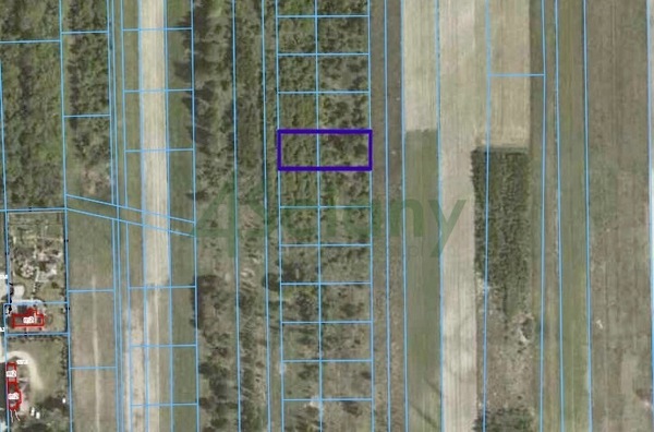 Działka 1200 m2 w PRAŻMÓW