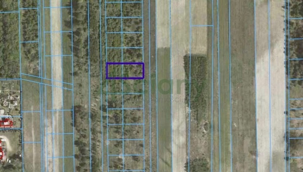 Działka 1200 m2 w PRAŻMÓW