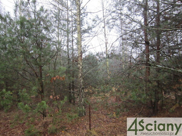 Działka 1390 m2 w ŻABIA WOLA