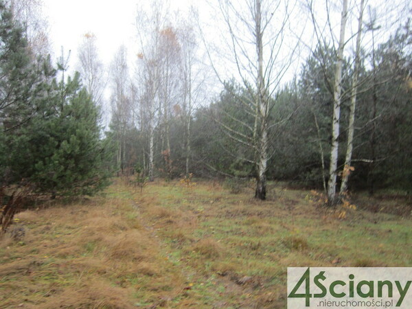 Działka 1390 m2 w ŻABIA WOLA