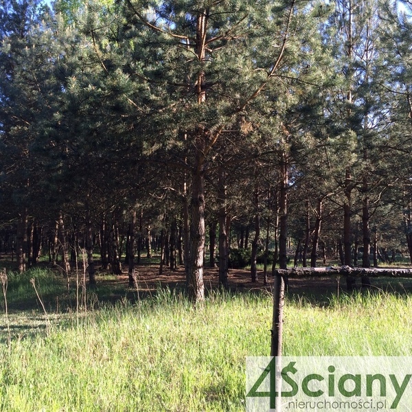 Działka 1390 m2 w ŻABIA WOLA