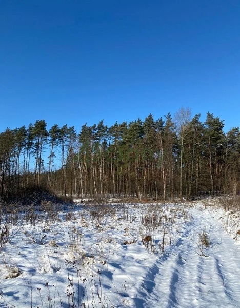 Działka 3150 m2 w NADARZYN