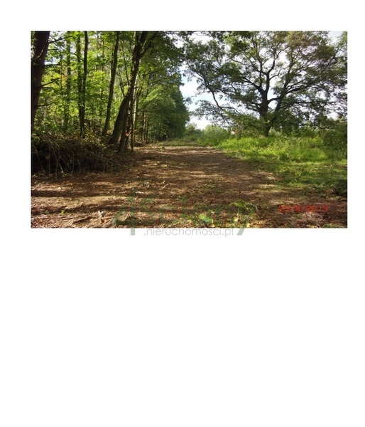 Działka 20000 m2 w KONSTANCIN-JEZIORNA