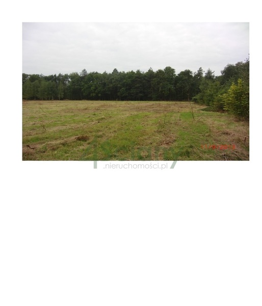 Działka 20000 m2 w KONSTANCIN-JEZIORNA