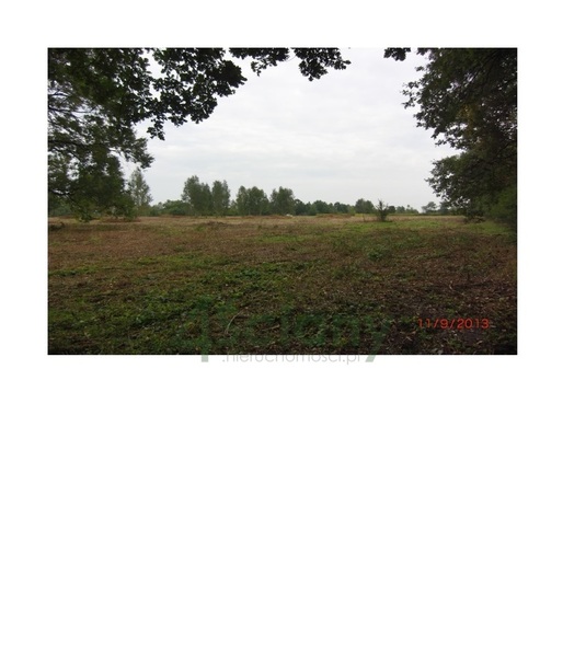 Działka 20000 m2 w KONSTANCIN-JEZIORNA