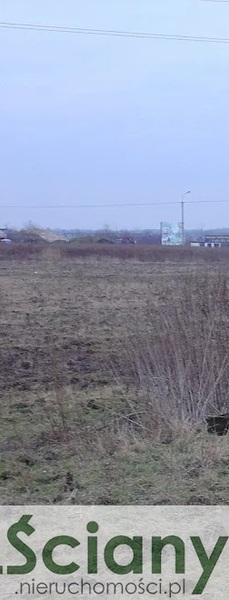 Działka 16091 m2 w LESZNOWOLA
