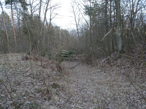 Działka 14300 m2 w JANÓW PODLASKI