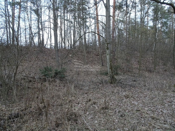 Działka 14300 m2 w JANÓW PODLASKI