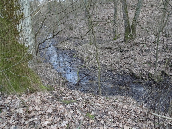 Działka 14300 m2 w JANÓW PODLASKI