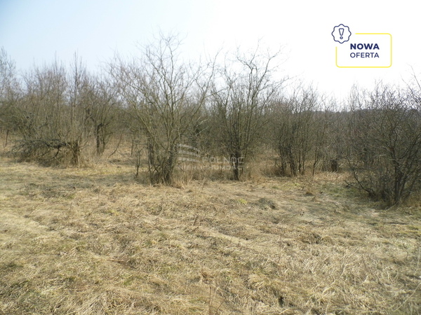 Działka 3310 m2 w TUROŚŃ KOŚCIELNA