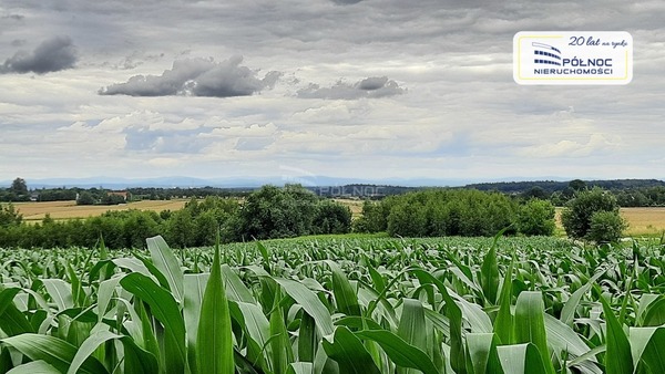 Działka 18220 m2 w IWANOWICE