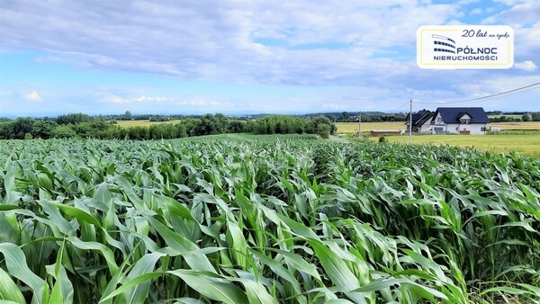 Działka 18220 m2 w IWANOWICE