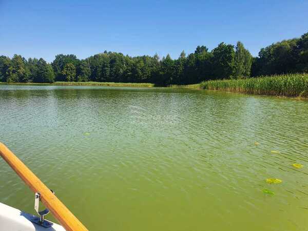 Działka 3046 m2 w SORKWITY