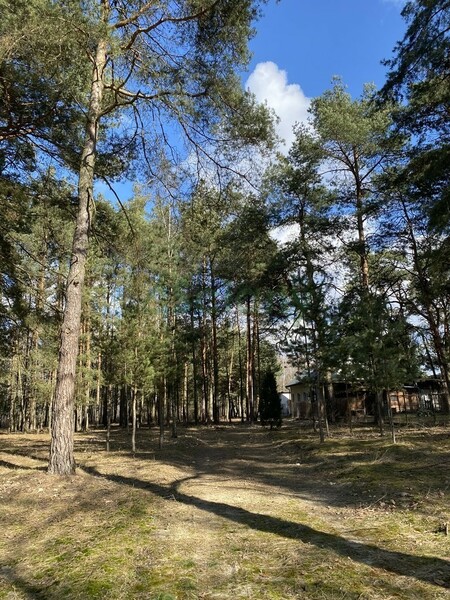 Działka 4400 m2 w ZABRODZIE