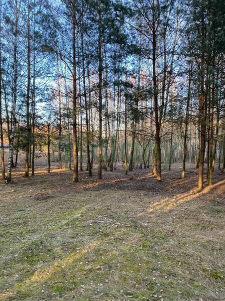 Działka 4400 m2 w ZABRODZIE