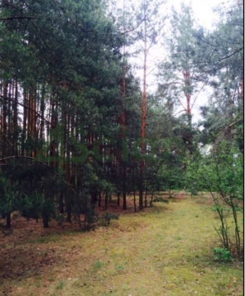 Działka 4400 m2 w ZABRODZIE