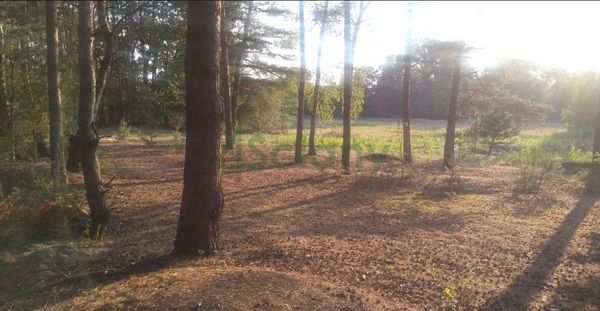 Działka 1711 m2 w WARSZAWA